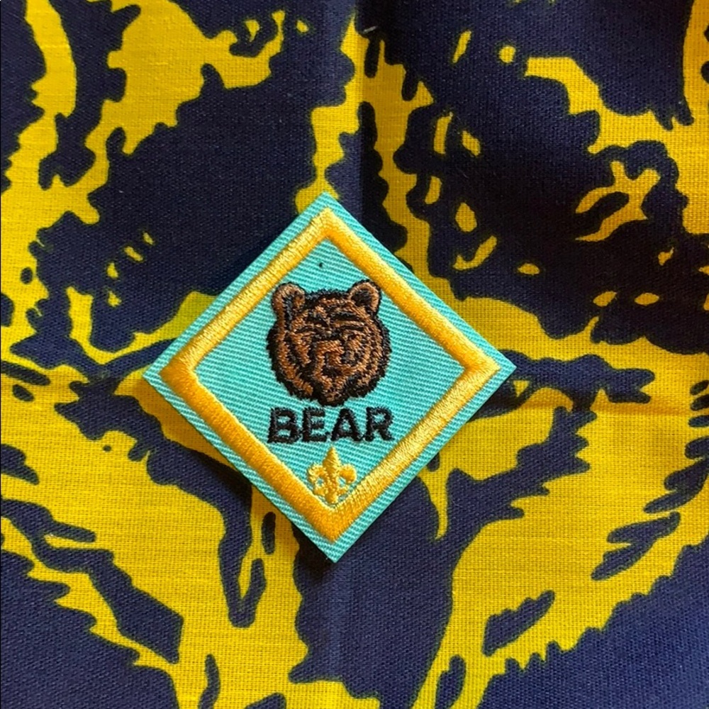 Bear patch cub boy Girl Scout